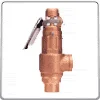 Safety Valve Lever