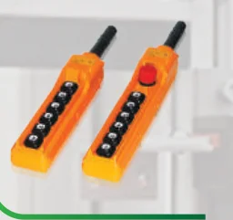 Emas Hoist Switches
