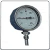 Thermometer Vertical