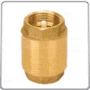 Non Return Valve