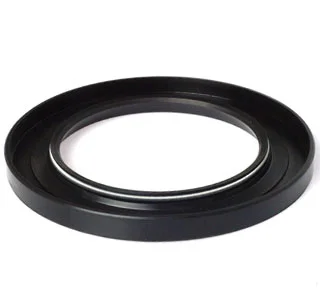 Dust Seal