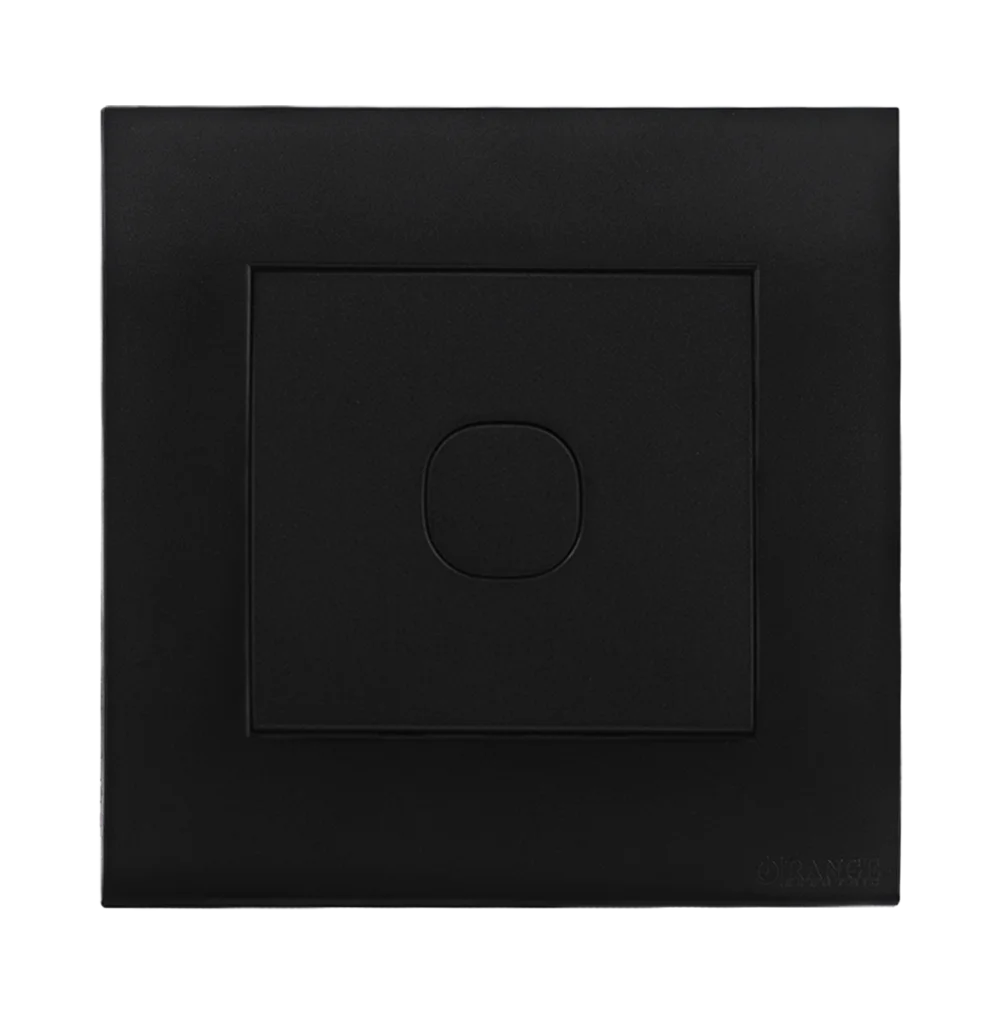 AKOYA Blank Plate with Removable Plug B/Matte with B/Matte Surround