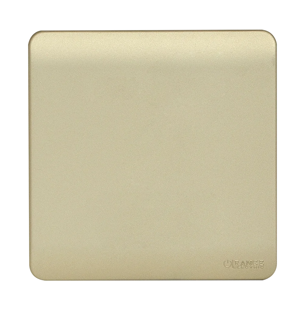 SCINTILLA Blank Plate with Removable Plug B/Matte with Gld/Matte Surround