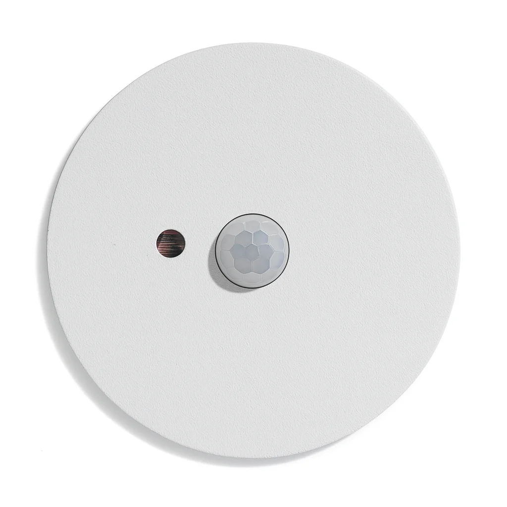 White motion & Light sensor in white metal housing with springleaf