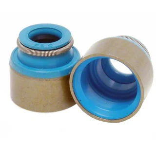 Valve Seal