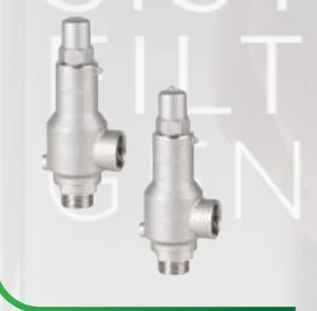 Genebre Safety and Pressure Relief Valves