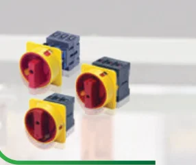 Emas Rotary Cam Switches
