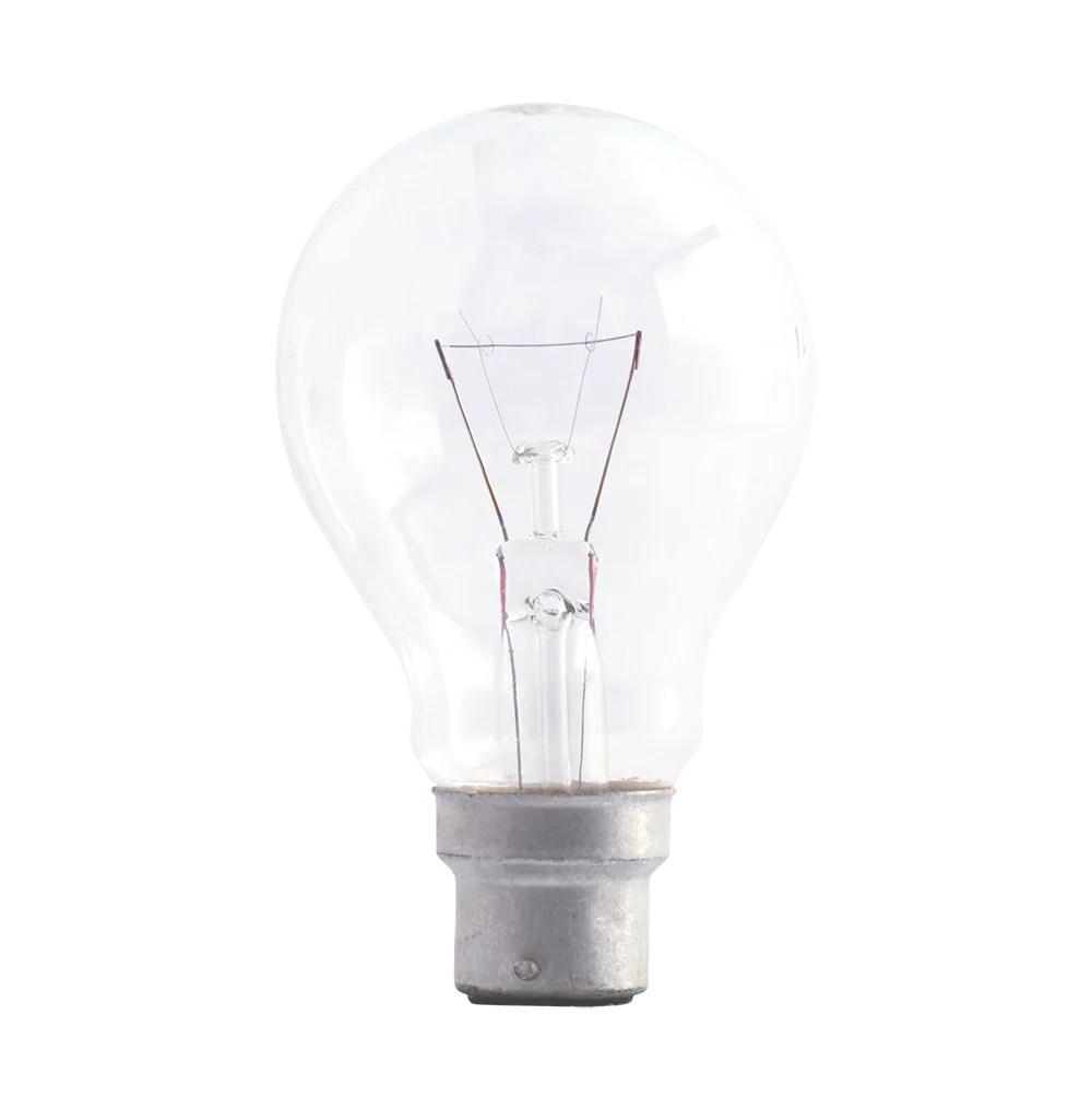 WIREMAN GLS PIN TYPE 100Watt Clear Lamp